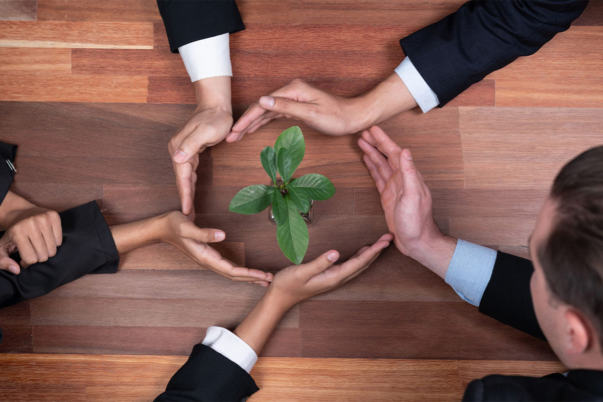 ein aus fünf Hände bestehender Kreis und im Mittelpunkt eine Pflanze